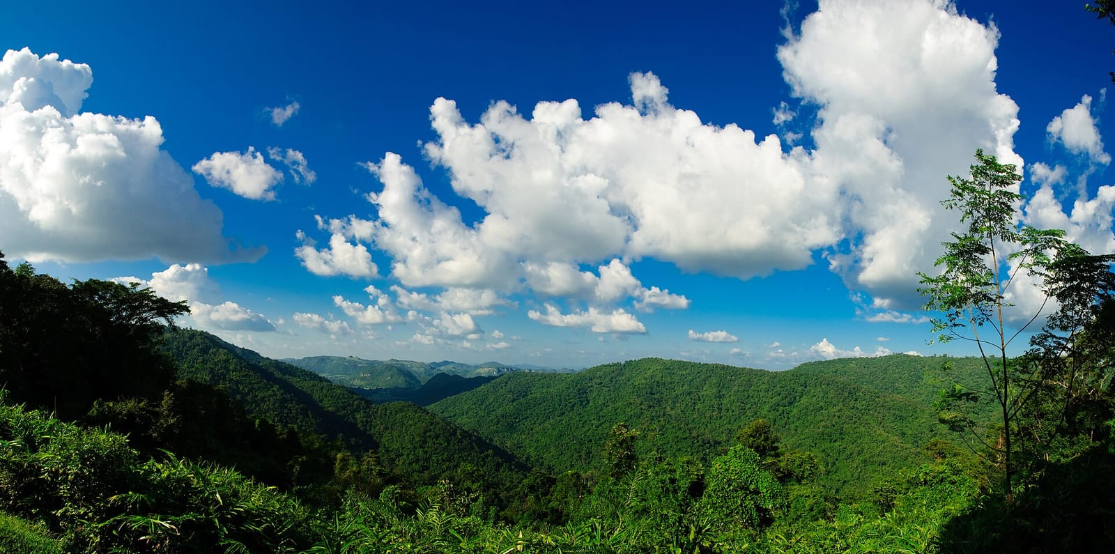 เขาใหญ่