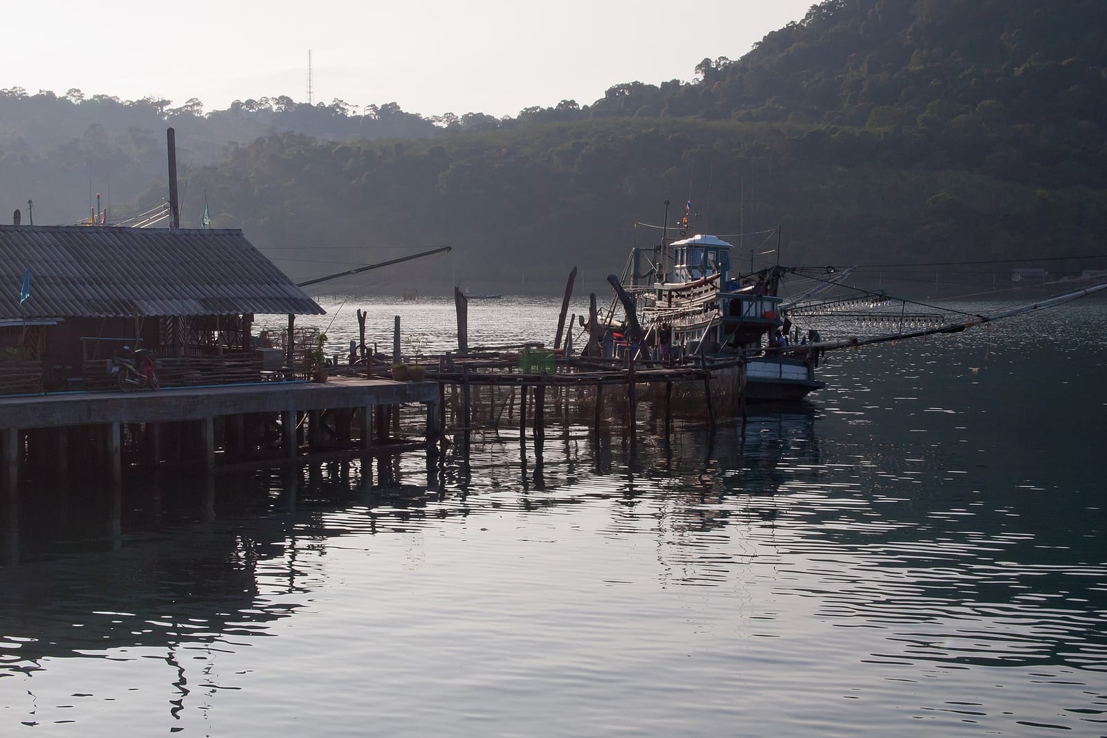 ตราด