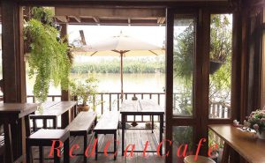 Thailandaddict ชีวิตติดไทย เที่ยวไทย ร้าน Red Cat Cafe