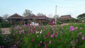 Chomna Resort ชมนารีสอร์ท 1