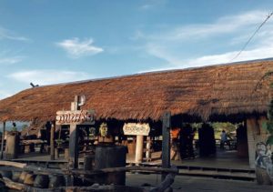 กาแฟบ้านไทลื้อ อ.ปัว จ.น่าน